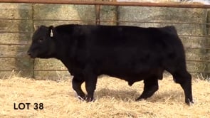 Lot #38 - LL FLAT TOP 112