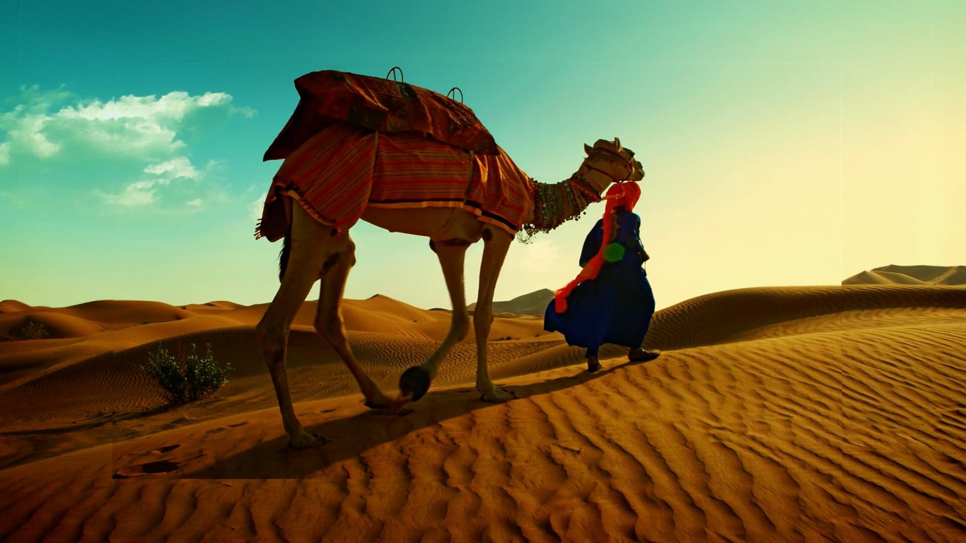 LG Oled TV - National Geographic