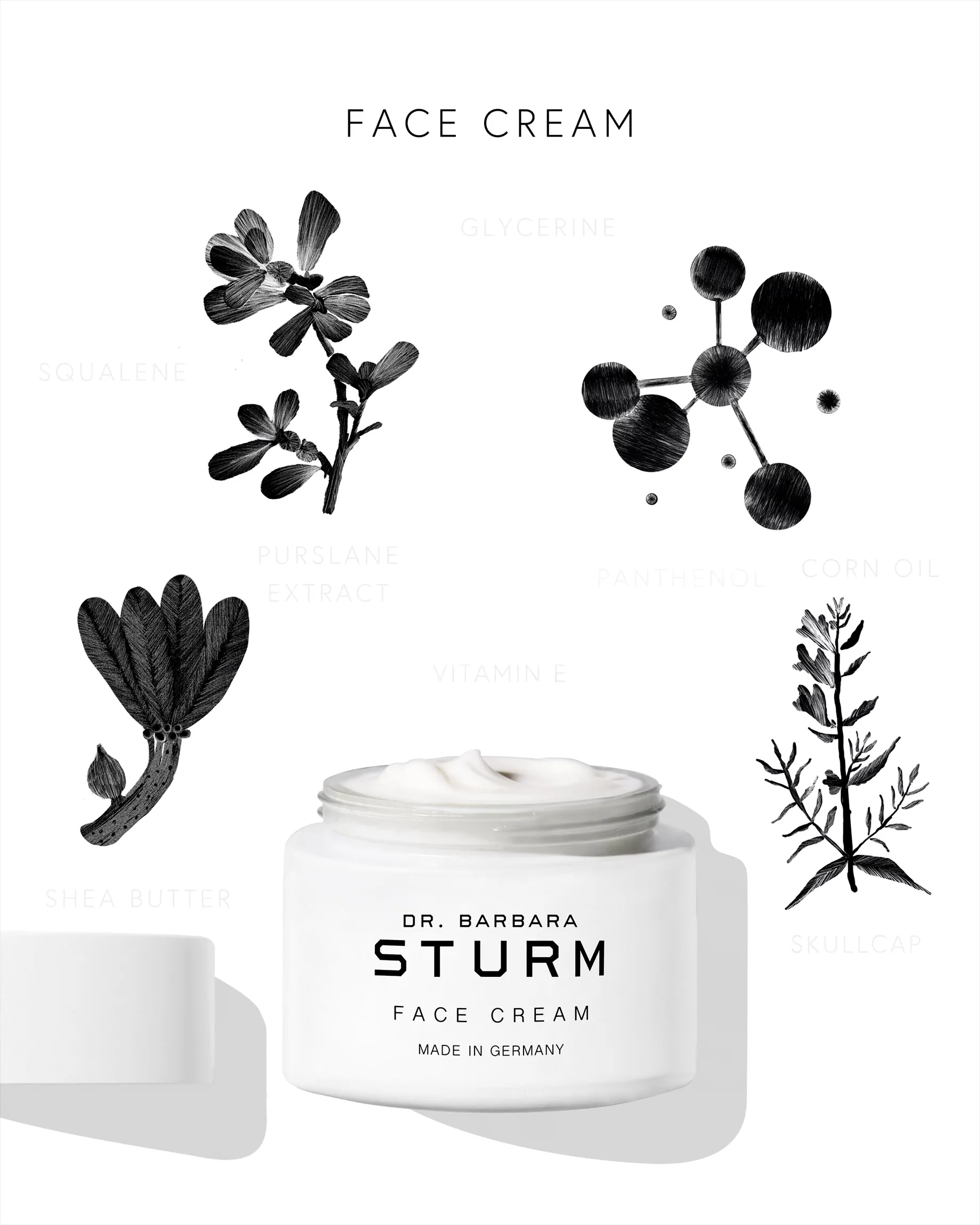 Dr. Barbara Sturm Face Cream 2024 Rich (x3)