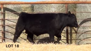 Lot #18 - LL IM RECKON 1140