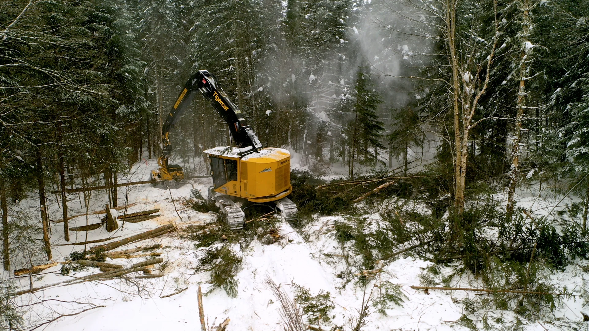 H822E Harvester | Cut to Length | Tigercat Forest Equipment