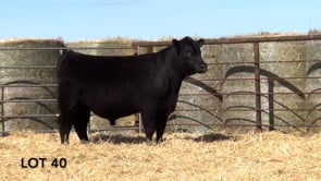 Lot #40 - CL FLAT TOP 193