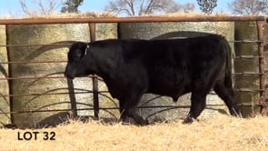 Lot #32 - LL SIDEKICK 171