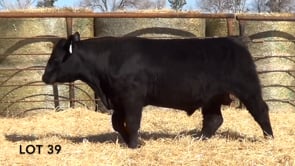 Lot #39 - LL FLAT TOP 113