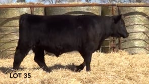 Lot #35 - LL SIDEKICK 1184