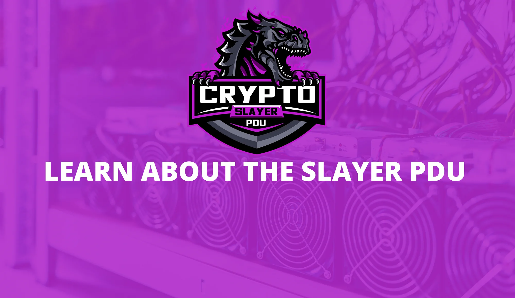 Crypto Slayer 3.0