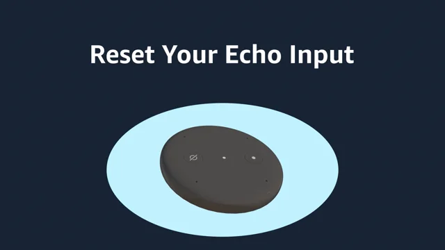 Support for Echo Dot -  Customer Service