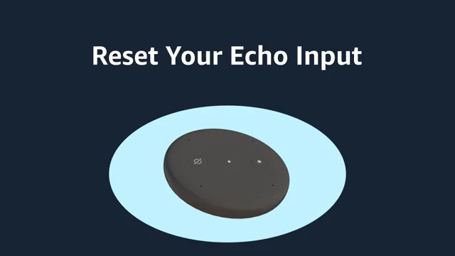 Amazon echo 2024 input setup