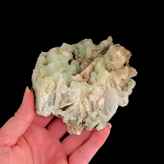 Prehnite ''casts'' after Anhydrite with Natrolite (ex Ken McKim Collection)