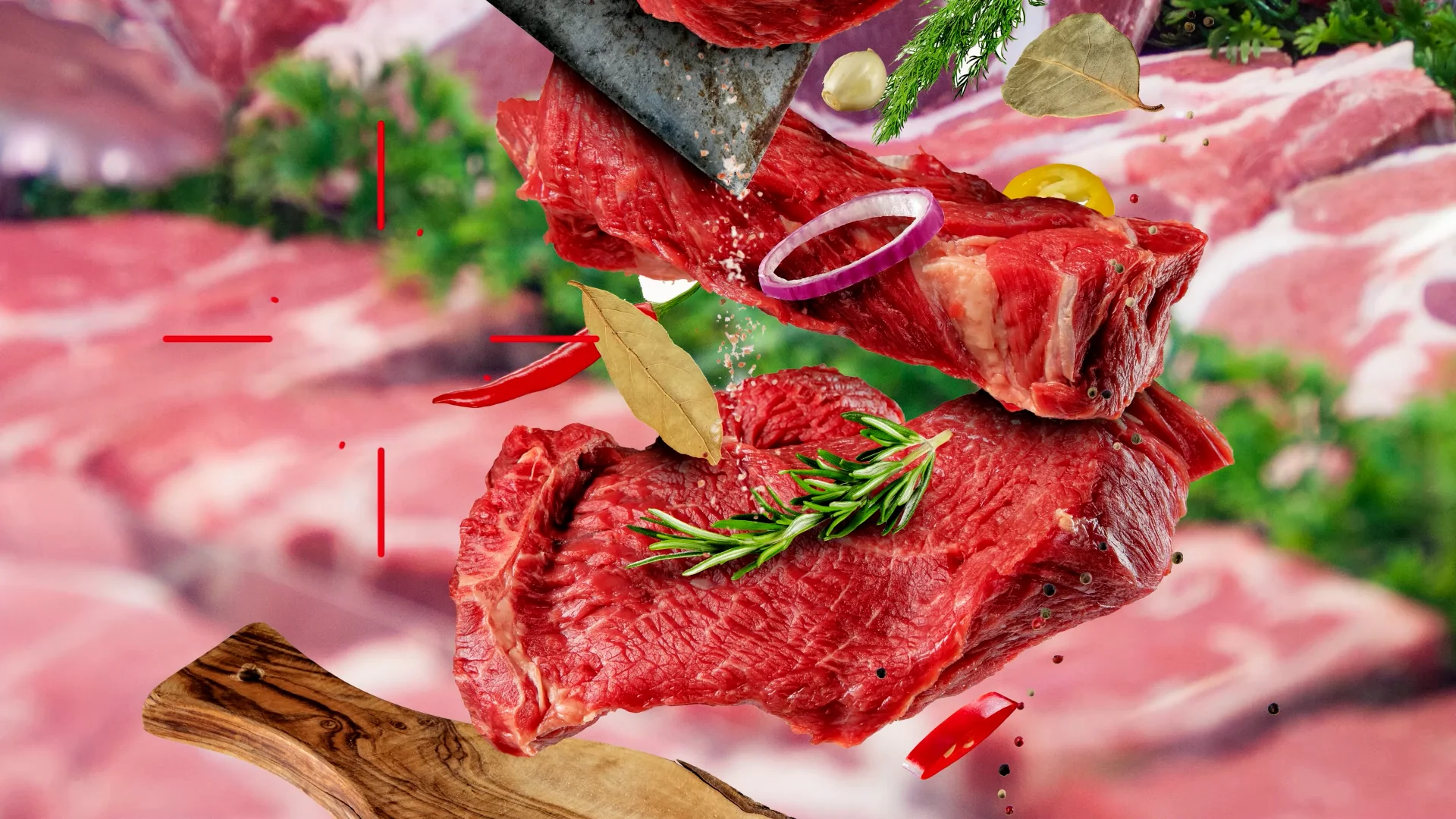 Eurogida 2022 Imagevideo