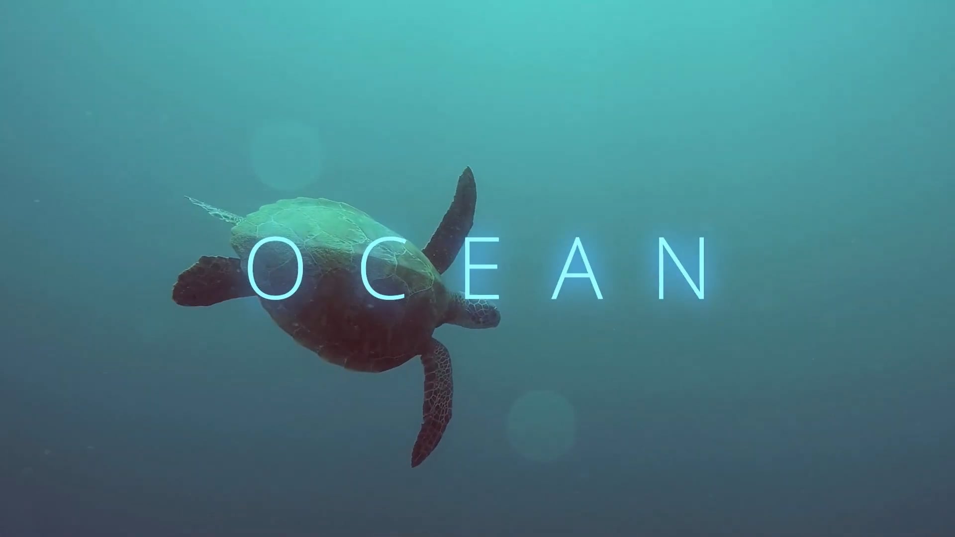 Ocean - Rescored by Neto Florencio