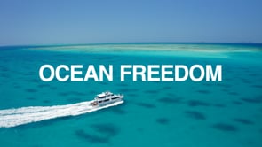 Ocean Freedom Cruise to Upolu Cay Reef and Outer Edge Upolu Reef