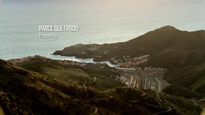 LA CÔTE MÉDITERRANÉENNE, REFUGE DU SANGLIER
