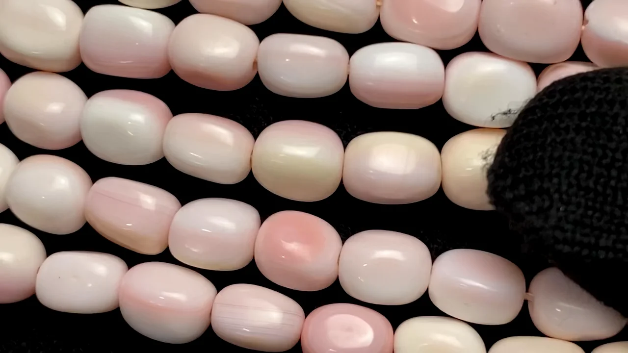 動画】クィーンコンクシェルAAA- レクタングル~タンブル8×6×6mm