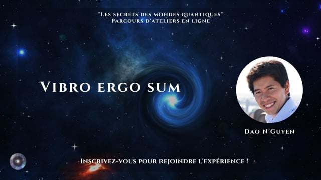 Vibro ergo sum avec Dao N'Guyen
