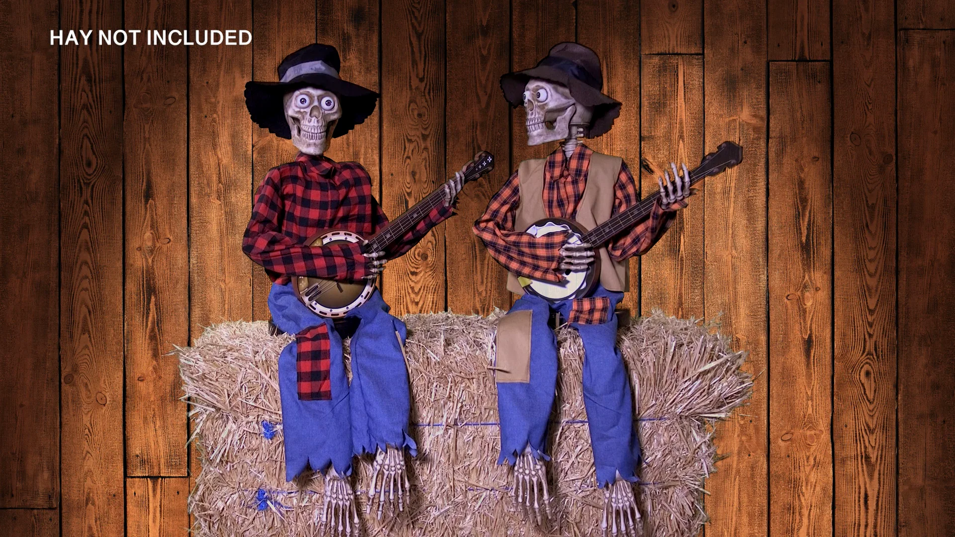 Costco Banjo Skeletons Product Marketing Video on Vimeo