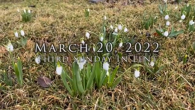 March 20 2022