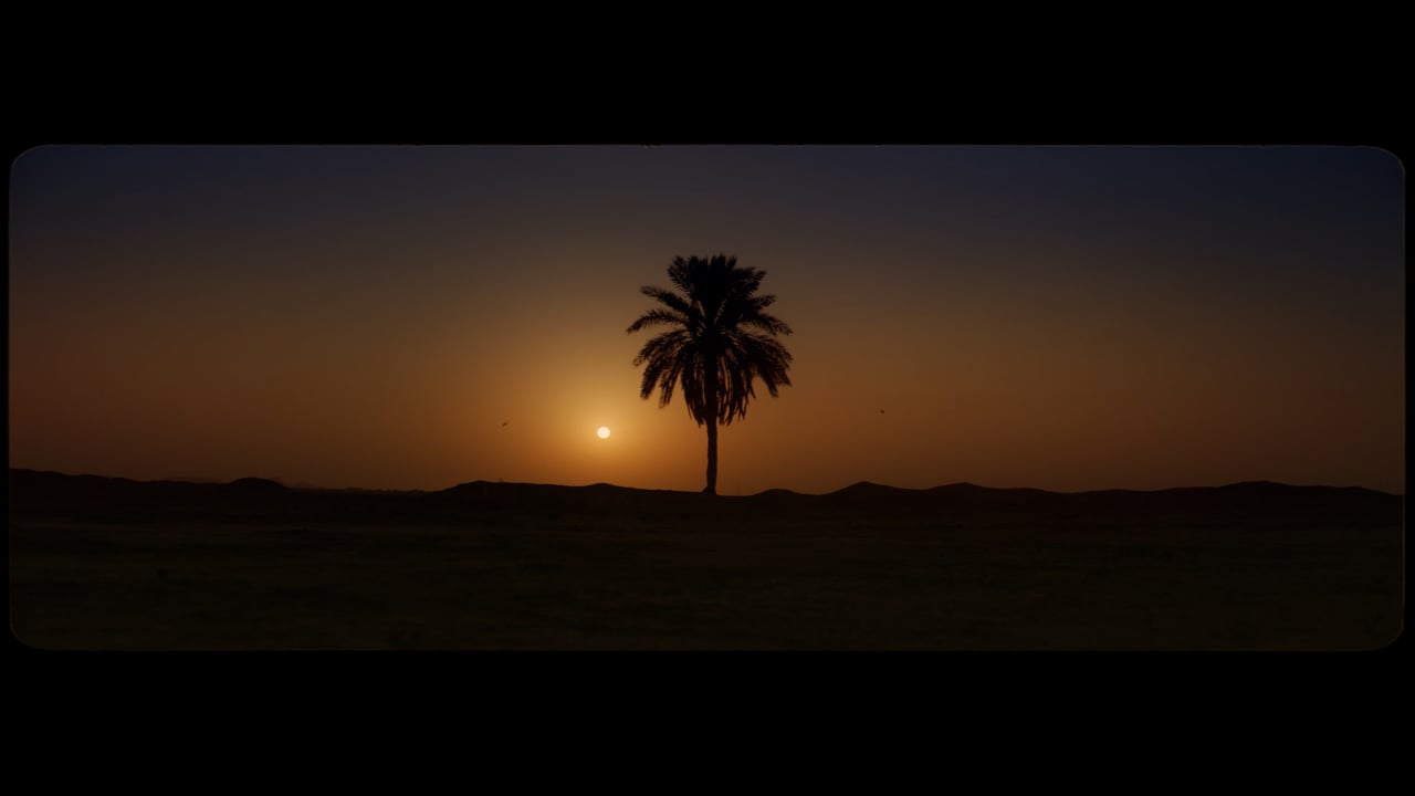 MOC | SAUDI NATIONAL DAY - THE PALM