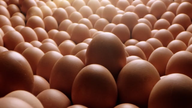 NETTO VERANTWORTUNG DC.mp4