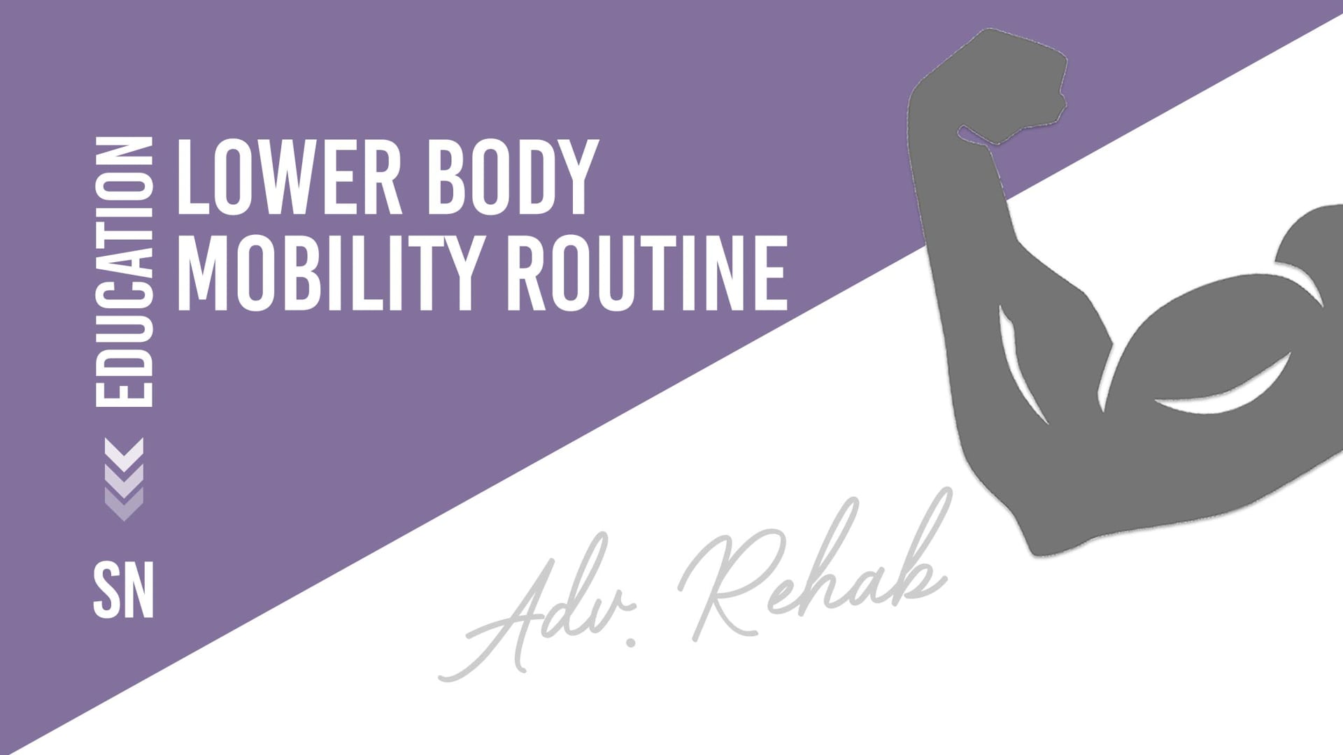 Lower Body Mobility Routine