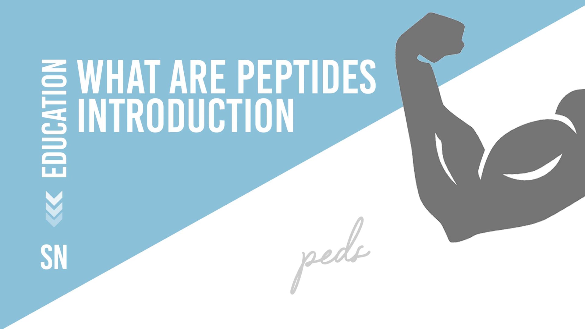 What are Peptides - Introduction