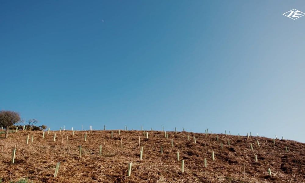 Mourier Valley Tree Planting Project - The Full Project Image