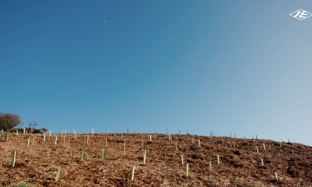 Mourier Valley Tree Planting Project - The Full Project Image