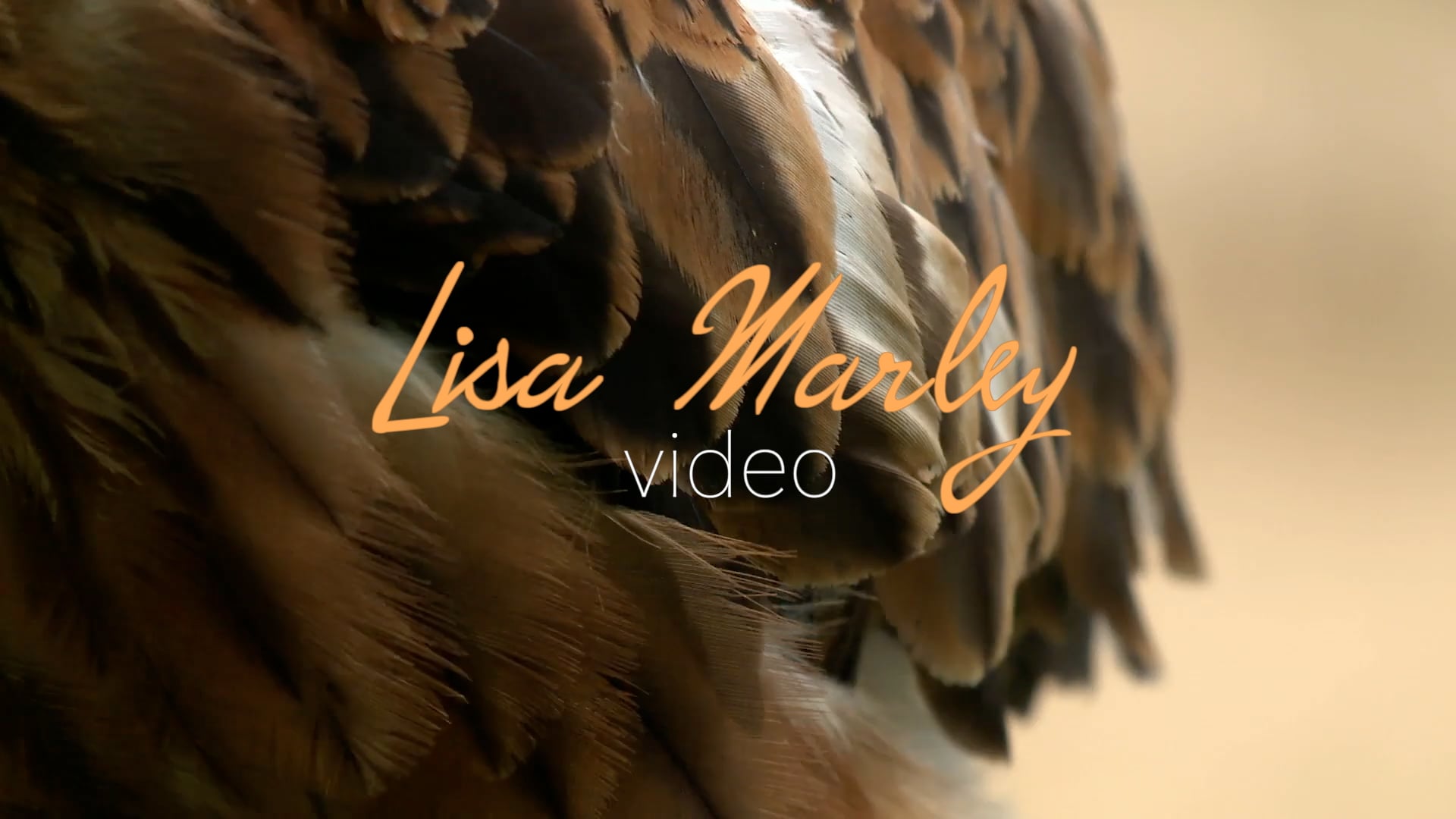 Lisa Marley Showreel 2022