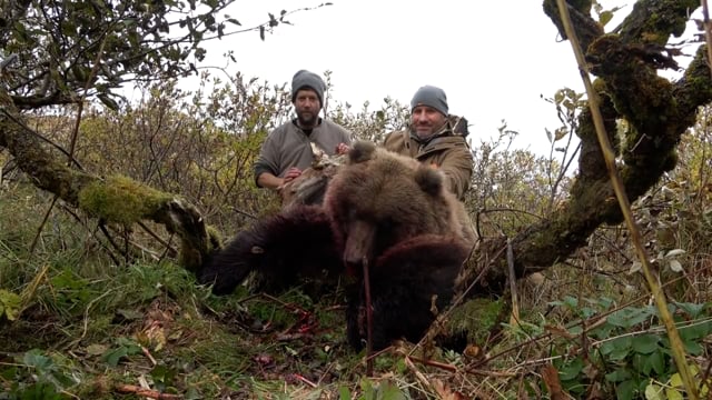 2021 Alaskan Brown Bear Hunt, Part 2