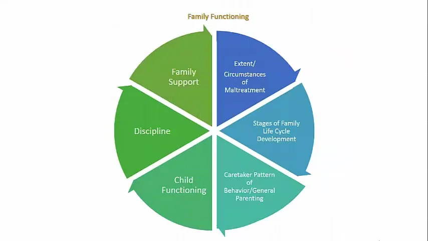 Family Life Cycle Development on Vimeo
