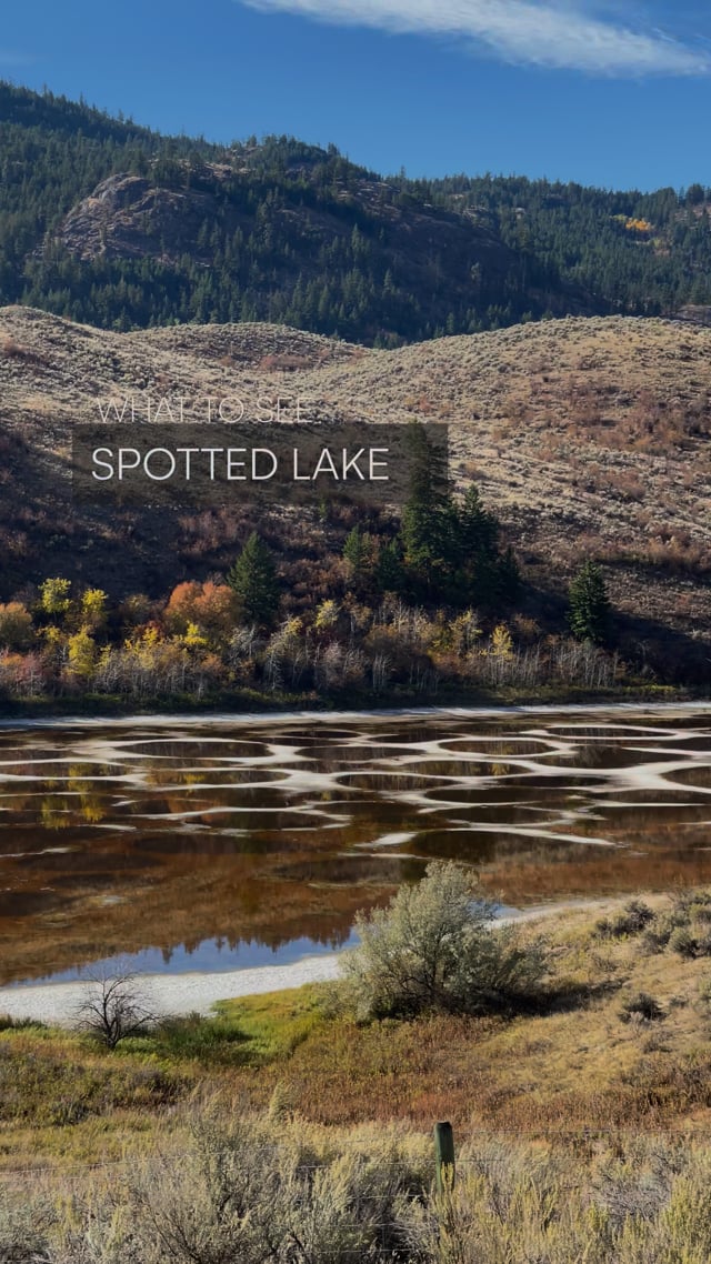 Spotted Lake in the Okanagan
