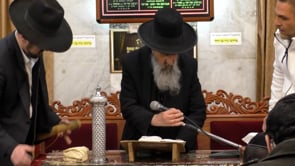 קריאת המגילה  פורים אדר ב תשפב