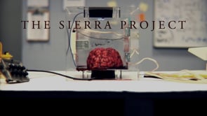 THE SIERRA PROJECT