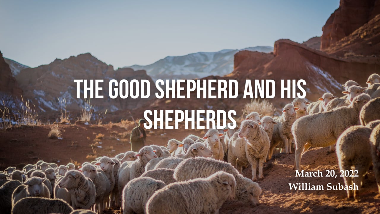 The Good Shepherd and His Shepherds