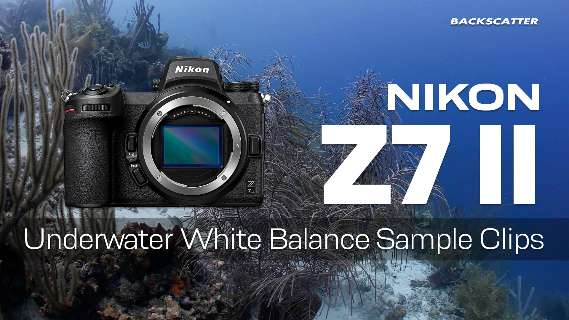 Nikon Z7 II Underwater Camera Review - Underwater Nikon Z7 II Underwater Camera Review - Underwater