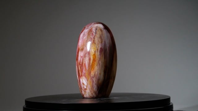 Genuine Polished Petrified Wood Freeform video thumbnail