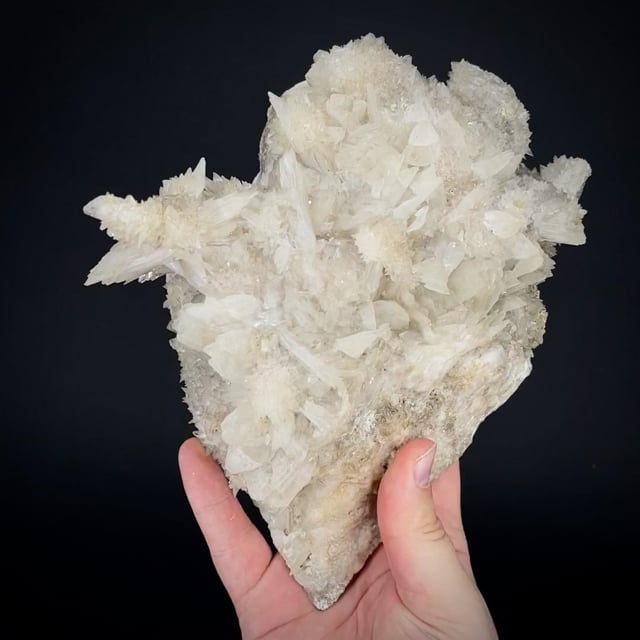 large rare Colemanite (Reynolds Coll.)