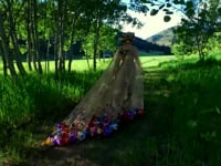 The Fairy & Human Relations Congress