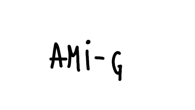 Ami(gos)