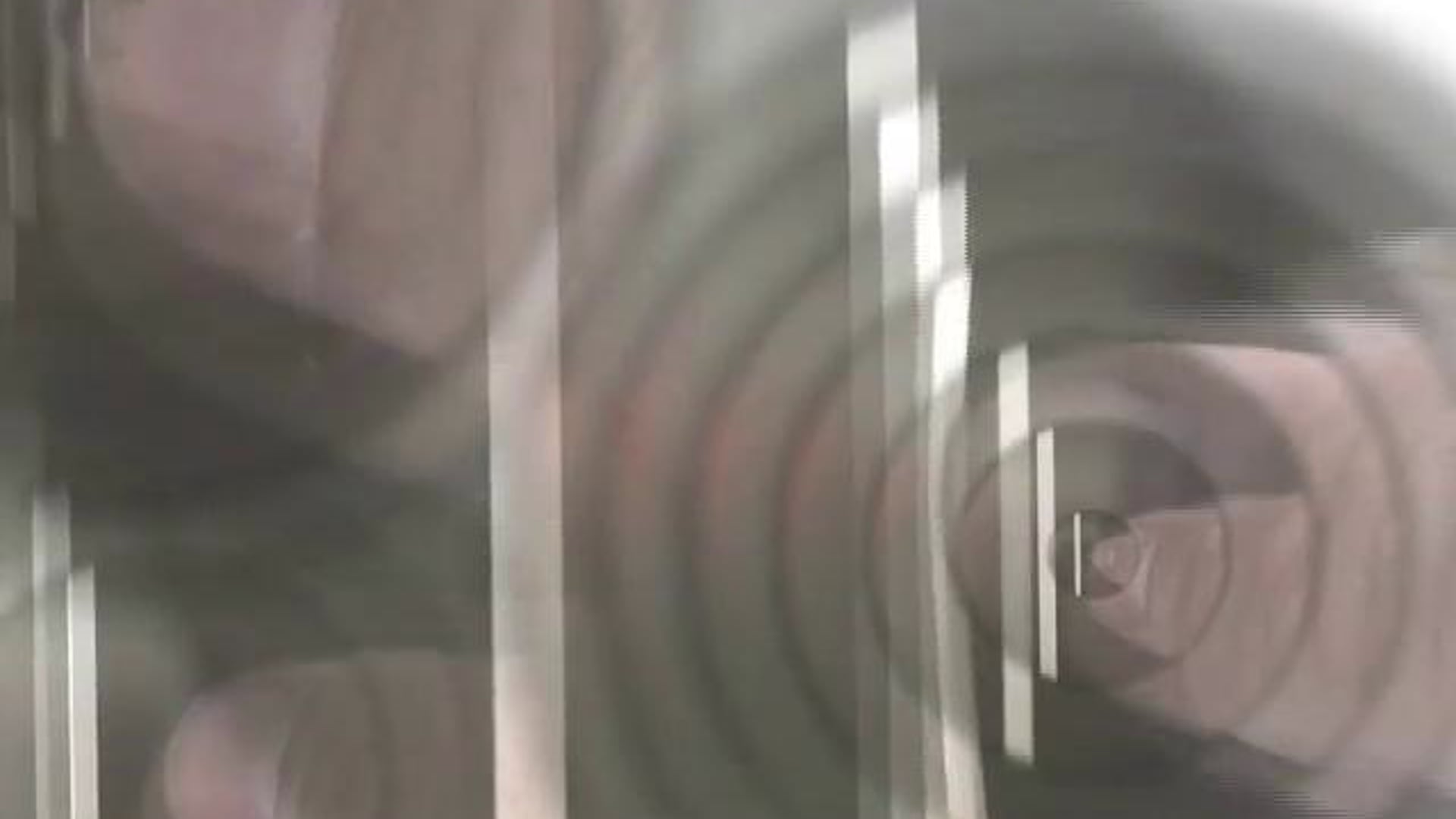 Simulation 5: Green Frog/ Rubber Bands