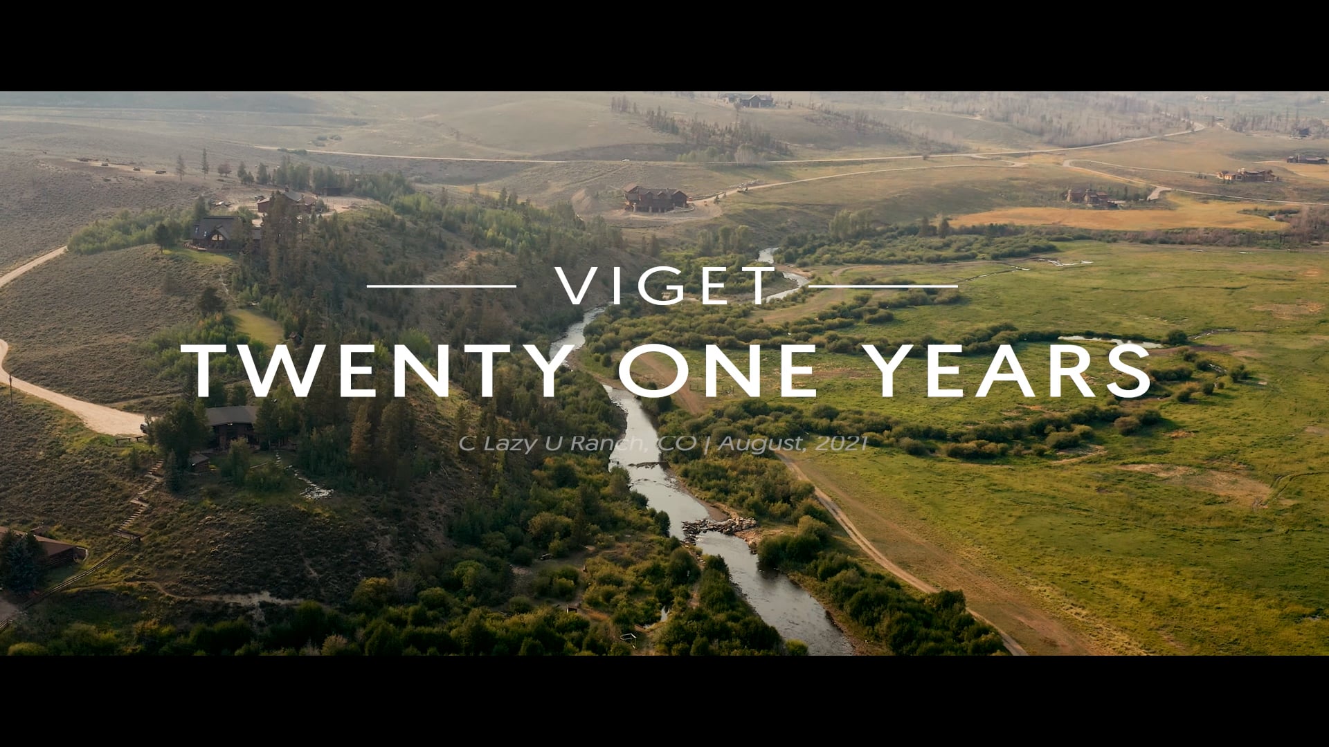 Viget 21.5