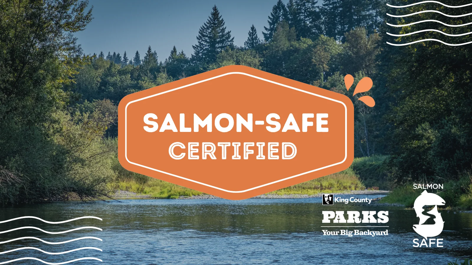 King County Parks earns Salmon-Safe certification, image size:1600x900