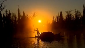 Motion — Sam Youkilis, Mini Title 2025