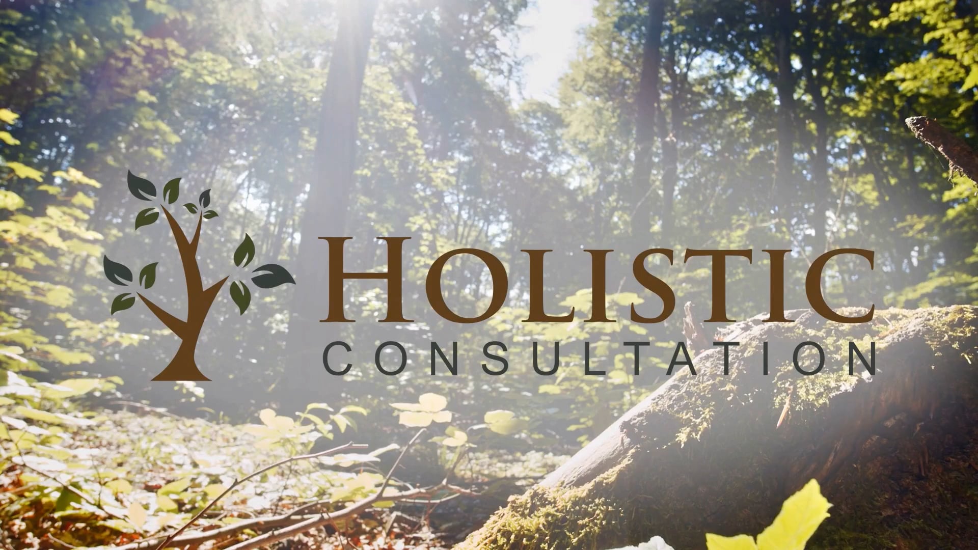 Holistic Consultation, Clinical Social Work/Therapist, Columbus, OH