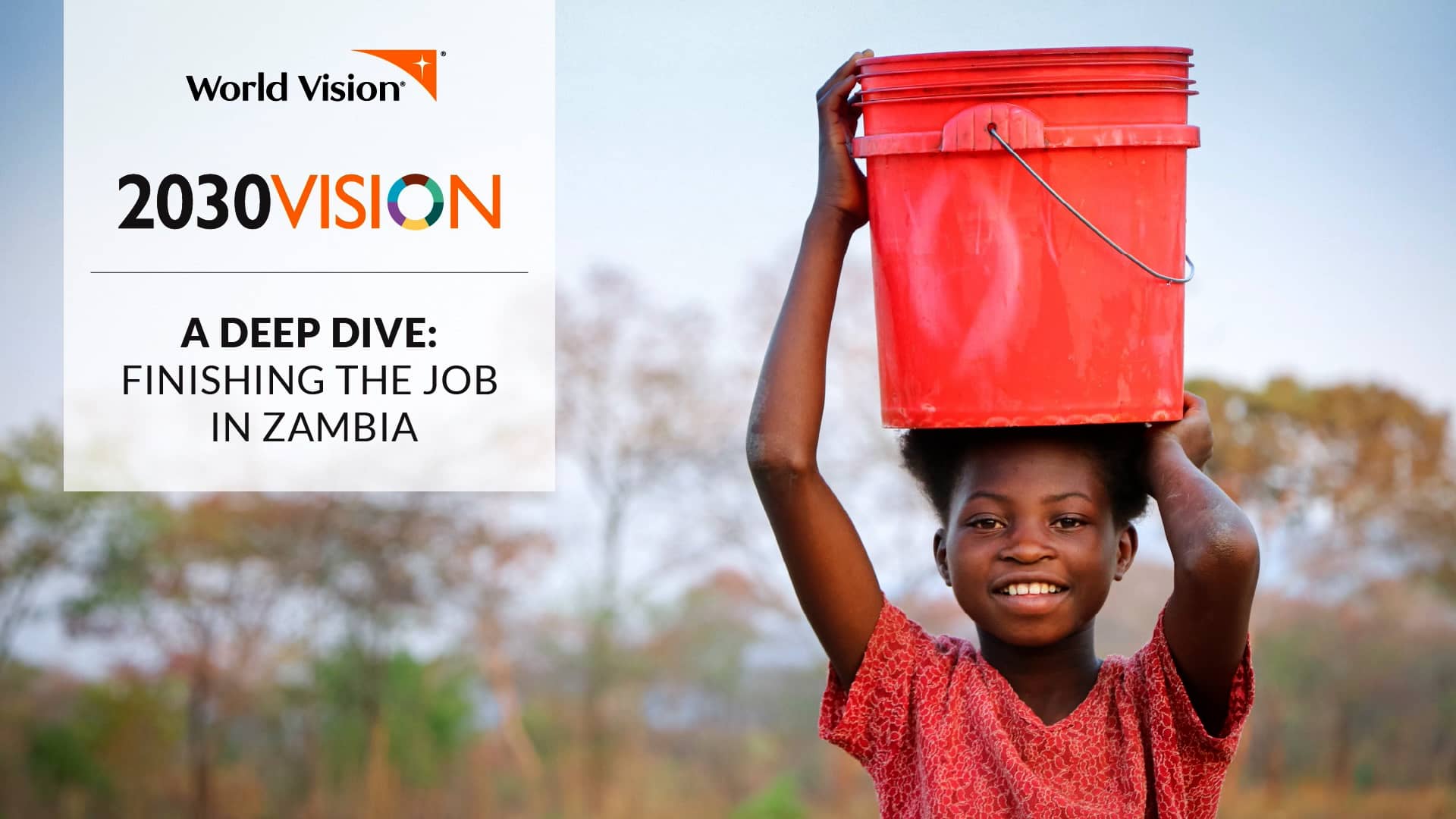 Vision 2030 Zambia on Vimeo