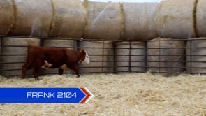 Lot #2104 - 