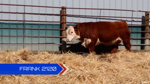 Lot #2120 - 