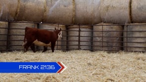 Lot #2136 - 