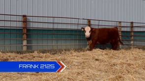 Lot #2125AF - 