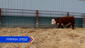Lot #2152 - 